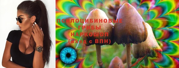 амф Алексин