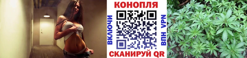 Бошки марихуана план Далматово